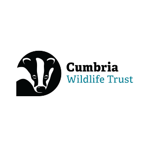 20251205 - Cumbria Wildlife